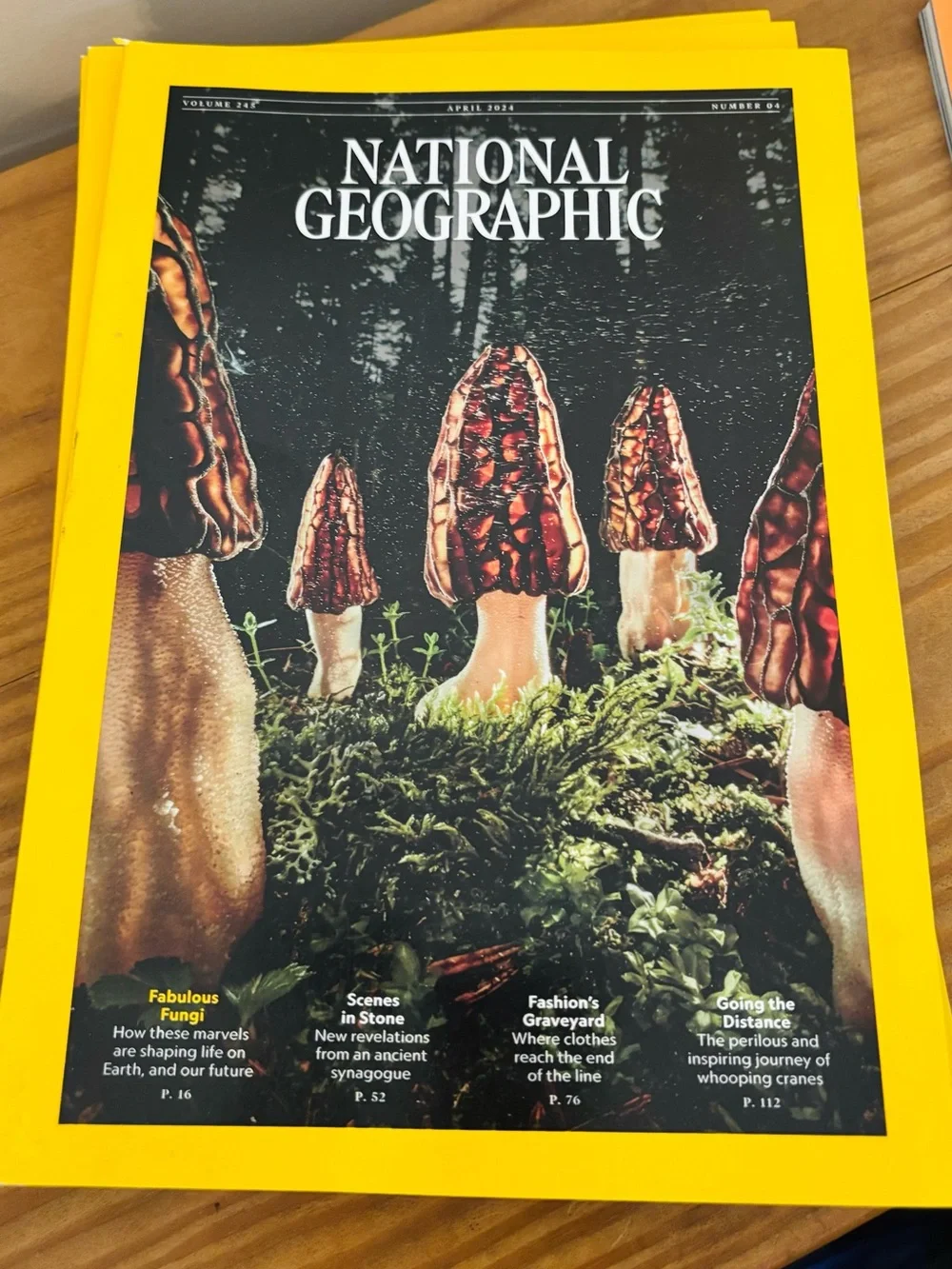 💥 2024 National Geographic Set: March, April, May, June, July, August, October
